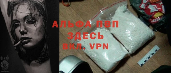гашик Осташков