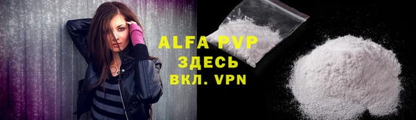 гашик Осташков