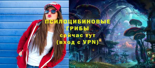 гашик Осташков