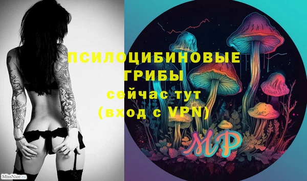 марки lsd Осинники
