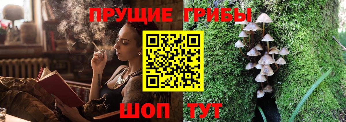 Галлюциногенные грибы MAGIC MUSHROOMS  Вход с VPN  Псилоцибиновые грибы мухоморы  Крымск 