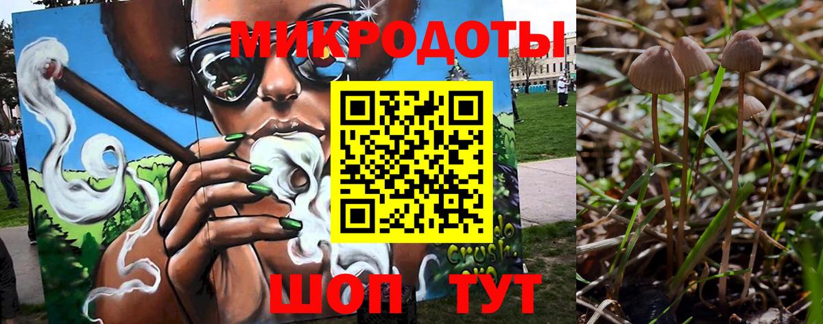 Псилоцибиновые грибы Cubensis Крымск