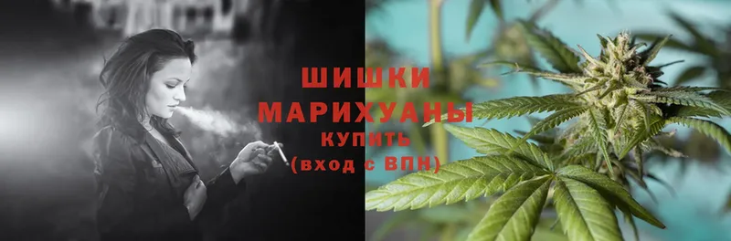 Конопля OG Kush  Крымск 